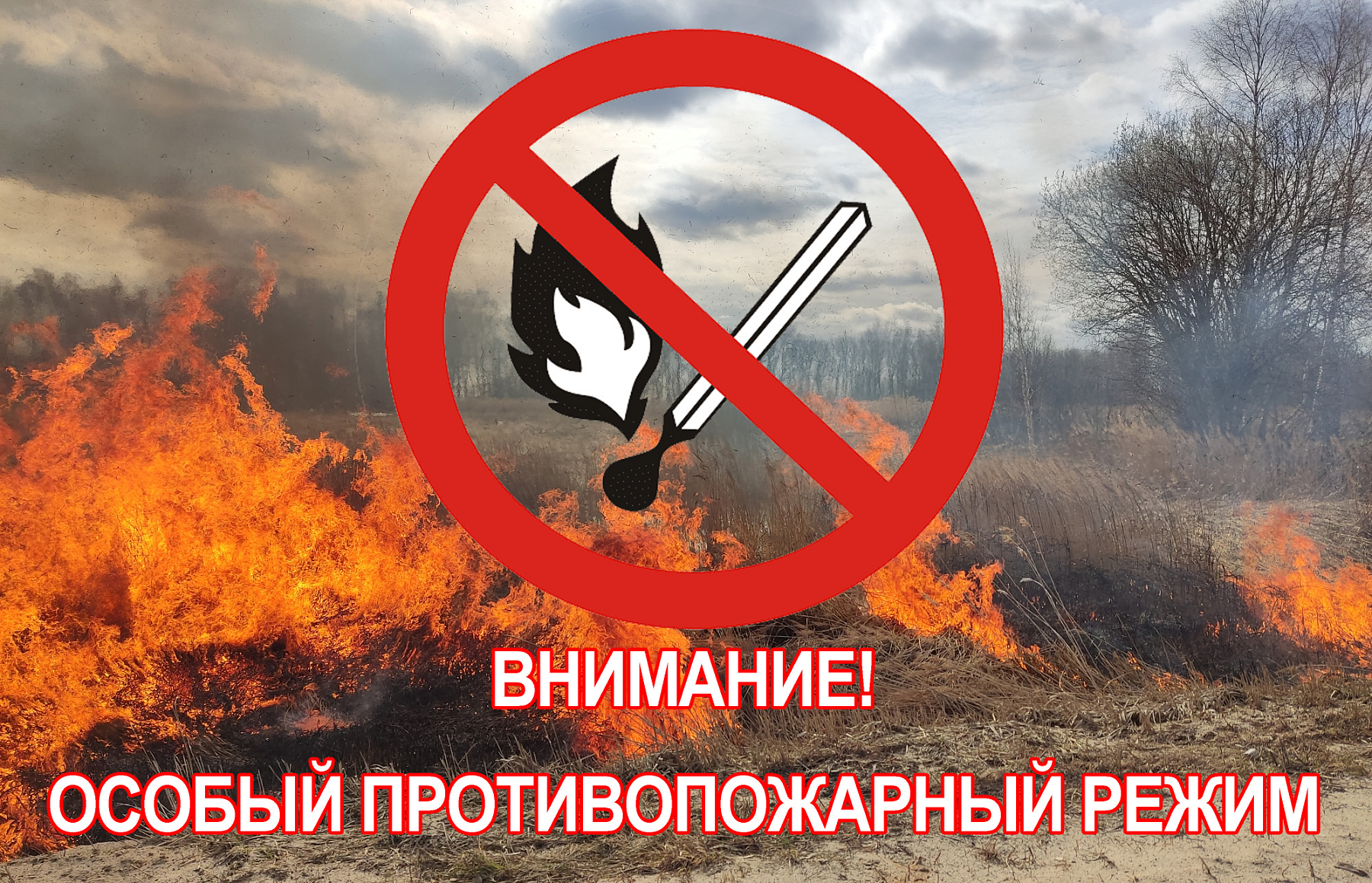В Челябинской области введен особый противопожарный режим